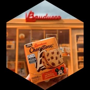 Bauducco