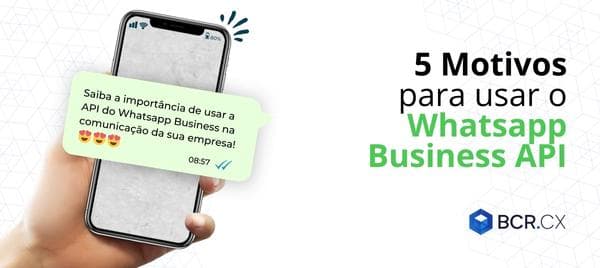 Business API: A importância de usa-lo na sua empresa